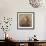 Heirloom Bouquet I-Ralph Steiner-Framed Art Print displayed on a wall