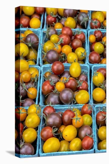 Heirloom cherry tomatoes, USA-Jim Engelbrecht-Stretched Canvas