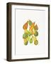 Heirloom Gourds-Deborah Kopka-Framed Giclee Print