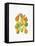 Heirloom Gourds-Deborah Kopka-Framed Stretched Canvas