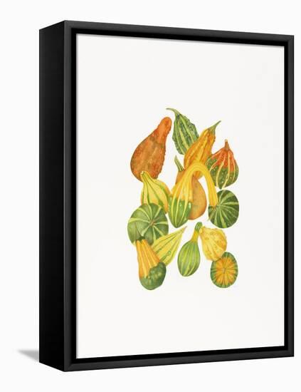 Heirloom Gourds-Deborah Kopka-Framed Stretched Canvas