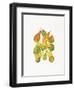 Heirloom Gourds-Deborah Kopka-Framed Giclee Print