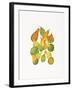 Heirloom Gourds-Deborah Kopka-Framed Giclee Print