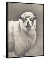 Heirloom Madras Sheep-Gwendolyn Babbitt-Framed Stretched Canvas