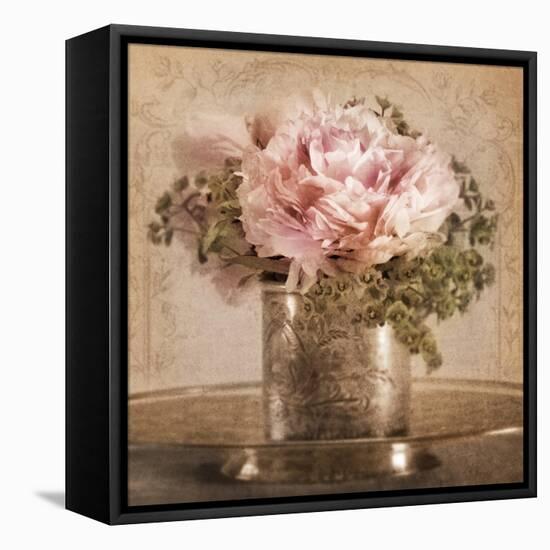 Heirloom Peony-Julie Greenwood-Framed Stretched Canvas