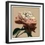 Heirloom Rose I-Chariklia Zarris-Framed Art Print