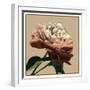 Heirloom Rose I-Chariklia Zarris-Framed Art Print