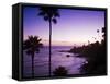 Heisler Park in Laguna Beach, Orange County, California, United States of America, North America-Richard Cummins-Framed Stretched Canvas