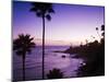 Heisler Park in Laguna Beach, Orange County, California, United States of America, North America-Richard Cummins-Mounted Photographic Print