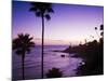 Heisler Park in Laguna Beach, Orange County, California, United States of America, North America-Richard Cummins-Mounted Photographic Print