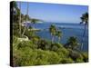 Heisler Park in Laguna Beach, Orange County, California, United States of America, North America-Richard Cummins-Stretched Canvas