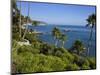 Heisler Park in Laguna Beach, Orange County, California, United States of America, North America-Richard Cummins-Mounted Photographic Print