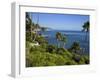 Heisler Park in Laguna Beach, Orange County, California, United States of America, North America-Richard Cummins-Framed Photographic Print