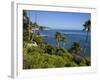 Heisler Park in Laguna Beach, Orange County, California, United States of America, North America-Richard Cummins-Framed Photographic Print