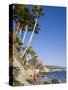 Heisler Park in Laguna Beach, Orange County, California, United States of America, North America-Richard Cummins-Stretched Canvas