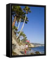 Heisler Park in Laguna Beach, Orange County, California, United States of America, North America-Richard Cummins-Framed Stretched Canvas