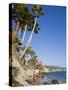 Heisler Park in Laguna Beach, Orange County, California, United States of America, North America-Richard Cummins-Stretched Canvas