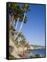 Heisler Park in Laguna Beach, Orange County, California, United States of America, North America-Richard Cummins-Framed Stretched Canvas