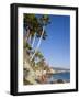 Heisler Park in Laguna Beach, Orange County, California, United States of America, North America-Richard Cummins-Framed Photographic Print