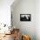 Heldentum: Motivationsposter Mit Inspirierendem Zitat-null-Photographic Print displayed on a wall