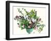 Helebore Bouquet-Suzanne Allard-Framed Art Print