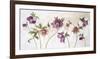 Helebores-Valerie Roy-Framed Art Print