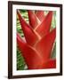 Heleconia, Maui, Hawaii, USA-Bruce Behnke-Framed Photographic Print