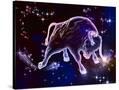 Stretched Canvas