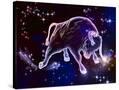Stretched Canvas