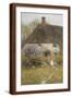 Brown Frame