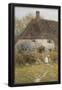 Essential Black