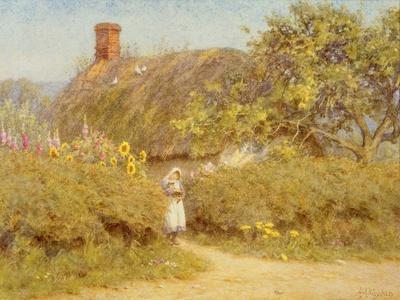 A Fruit Stall at the Base of the Campanile, San Giovanni Elemosinario, Near  the rialto, Venice' Giclee Print - Helen Allingham