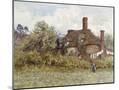 Wood Mount