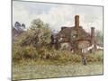 Wood Mount