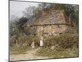 Wood Mount