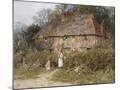 Wood Mount