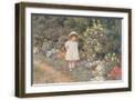 Brown Frame