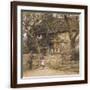 Brown Frame