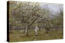 Stretched Canvas