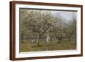 Brown Frame