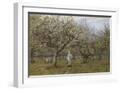 White Frame