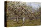 Stretched Canvas