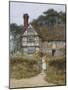 Wood Mount