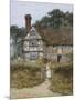Wood Mount