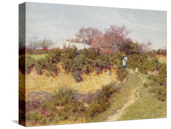 Stretched Canvas Print, , large