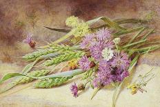 Green Wheat and Wild Flowers-Helen Cordelia Coleman Angell-Giclee Print
