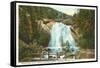 Helen Hunt Falls, Colorado Springs, Colorado-null-Framed Stretched Canvas