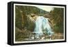 Helen Hunt Falls, Colorado Springs, Colorado-null-Framed Stretched Canvas