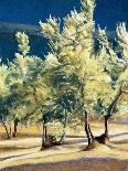 Olive Trees in Italy-Helen J. Vaughn-Giclee Print
