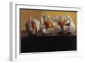 White Frame